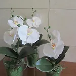 Mirafiori 2*