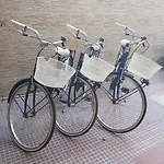 Hotel Mirafiori Lido di Camaiore