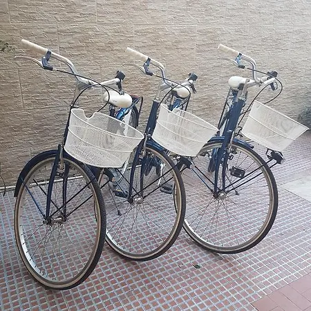 Hotel Mirafiori Lido di Camaiore